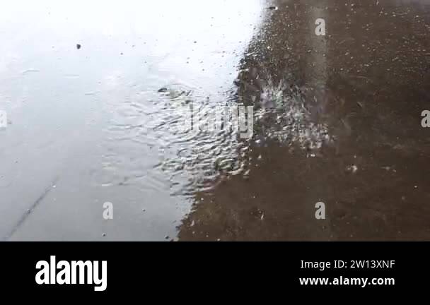 Close up raindrops falling puddle Stock Videos & Footage - HD and 4K ...