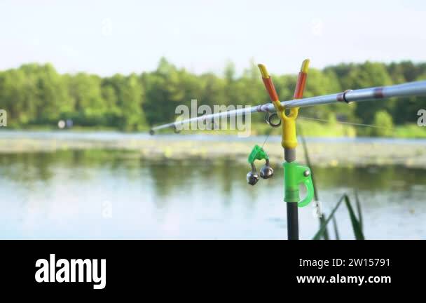 Fishing rod on the lake in summer day. Professional fishing rod