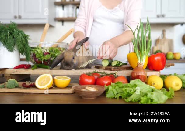 Woman cooking rabbit Stock Videos & Footage - HD and 4K Video Clips - Alamy