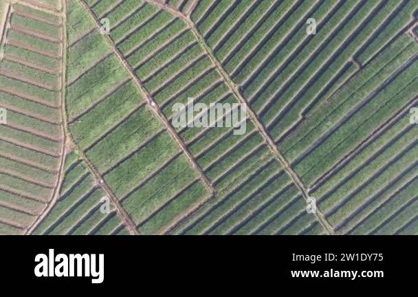 Forms pattern Stock Videos & Footage - HD and 4K Video Clips - Alamy