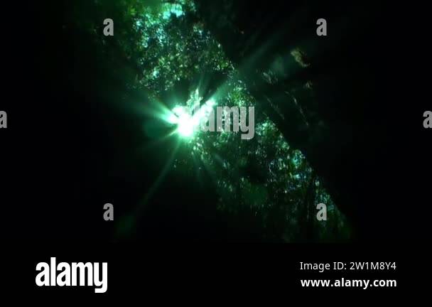 Circular motion of camera under water to tree roots and ray of suns in ...