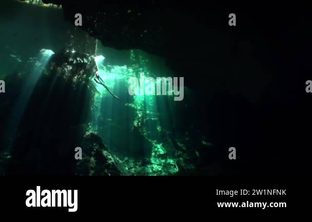 Trees and tree roots and ray of suns view from under clear water in ...