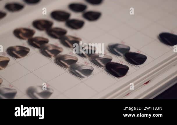 A large palette of hair, a choice of colors for dyeing in a beauty ...