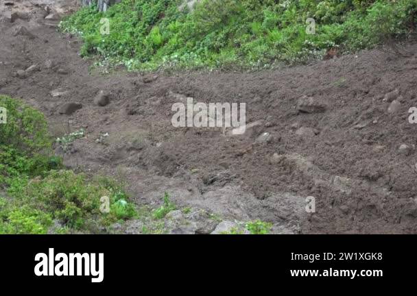 Muds of landslide flows down the valley. Stone rock and soil mixed with ...