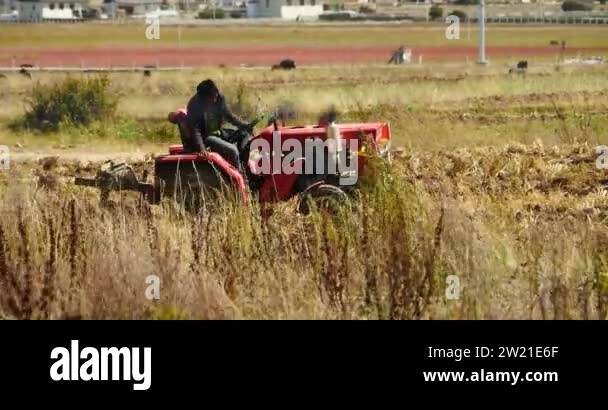 China farming tractor Stock Videos & Footage - HD and 4K Video Clips ...