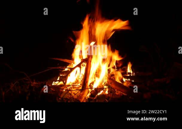 Video footage of a burning and sparking campfire at night with burning ...
