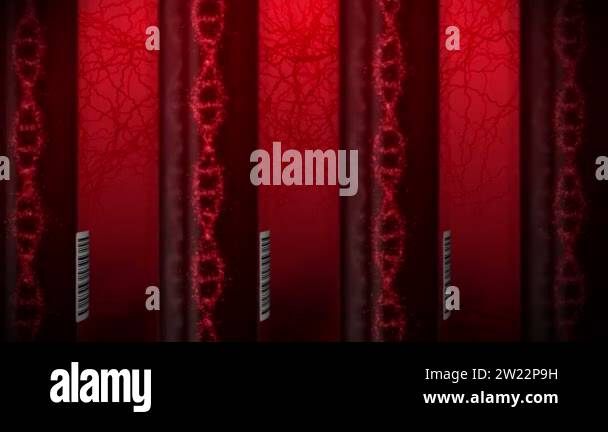 Red Dna Testing Molecule of DNA system with red blood in test tube. Blood test ...
