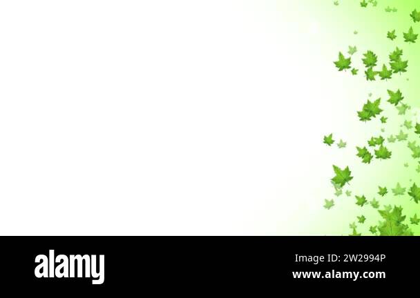 Abstract Spring Green Leaves Falling Animation Loop/ 4k animation of an ...