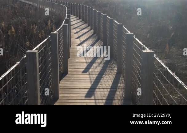 Swampy Rope Grass ropes Stock Videos & Footage - HD and 4K Video Clips - Alamy
