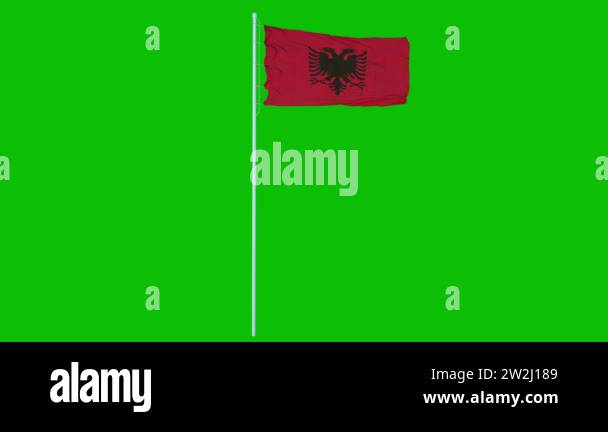 Albania Flag Waving on wind on green screen or chroma key background ...