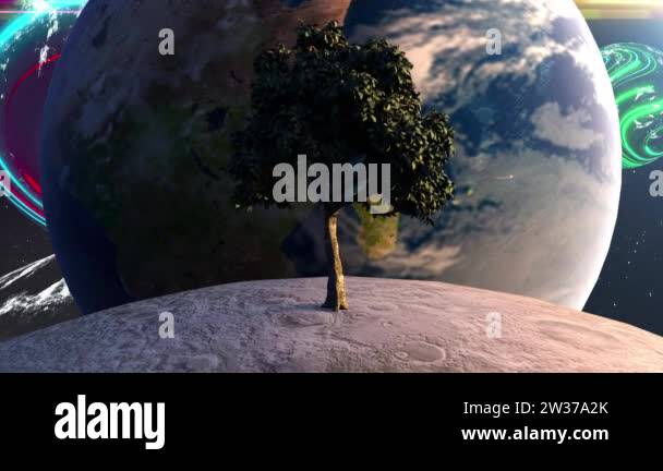 Tree Through Earth Planet earth on tree Stock Videos & Footage - HD and 4K Video Clips - Alamy