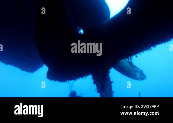 Salem Express wreck propeller.. Screw close up ship wreck on seabed