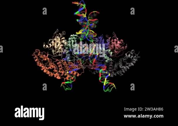 Cryo-EM structure of human T-cell leukemia virus type-1 (HTLV-1 ...