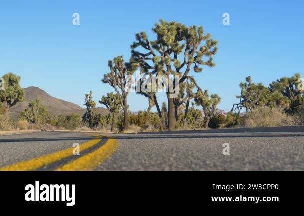LOW ANGLE: Cool view of an empty road running through the scenic Mojave ...