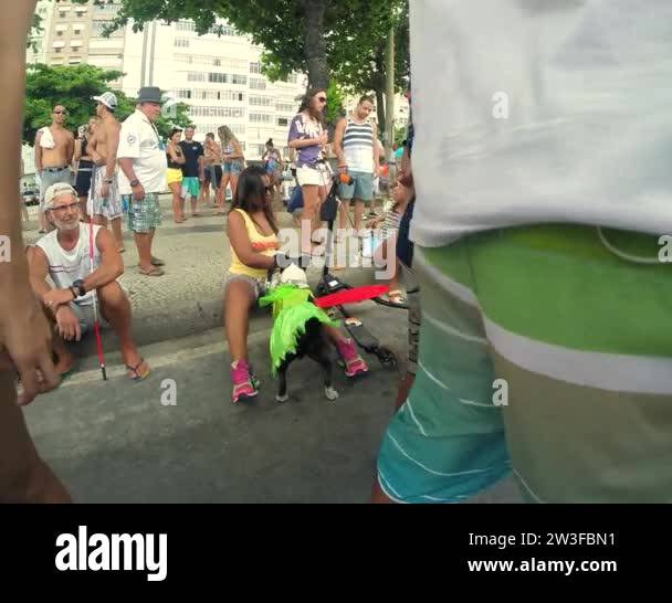 Rio carnival costume Stock Videos & Footage - HD and 4K Video Clips - Alamy
