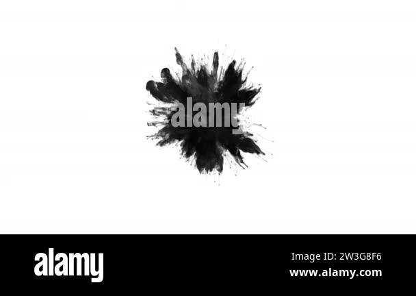 Black Color Burst - smoke powder explosion fluid ink particles alpha ...