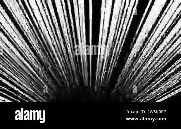 Japanese comic material. Speed line, Effect line, Concentration line ...