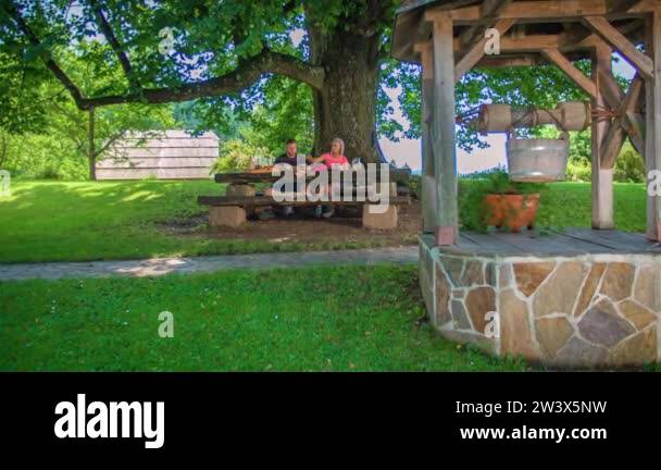 Legend tree Stock Videos & Footage - HD and 4K Video Clips - Alamy