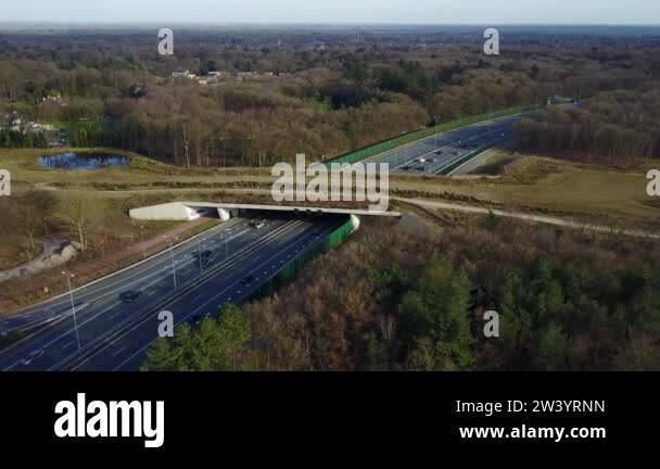 Wildlife crossing structure Stock Videos & Footage - HD and 4K Video