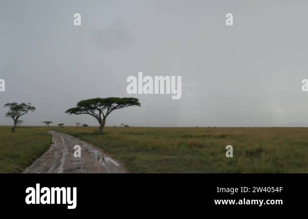 Tanzania road national park Stock Videos & Footage - HD and 4K Video ...