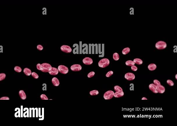Flying many red blood cells on black background. Medical concept ...
