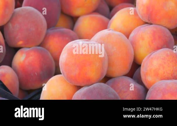 Ripe beautiful peaches close Stock Videos & Footage - HD and 4K Video ...
