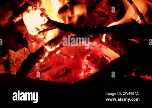 The bright flame of the fire burns in nature on a dark night. Bright ...