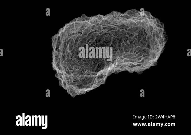The anatomy,the brain and its waves, molecular lattice,loop rotation ...