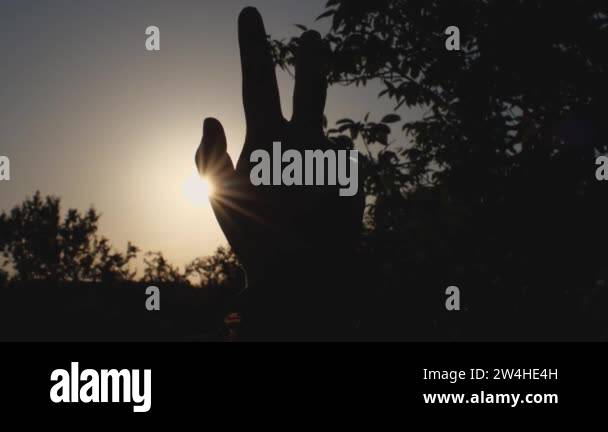 Hand signs silhouette Stock Videos & Footage - HD and 4K Video Clips ...