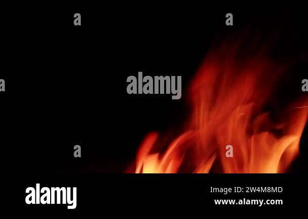 The bright flame of the fire burns in nature on a dark night. Bright ...
