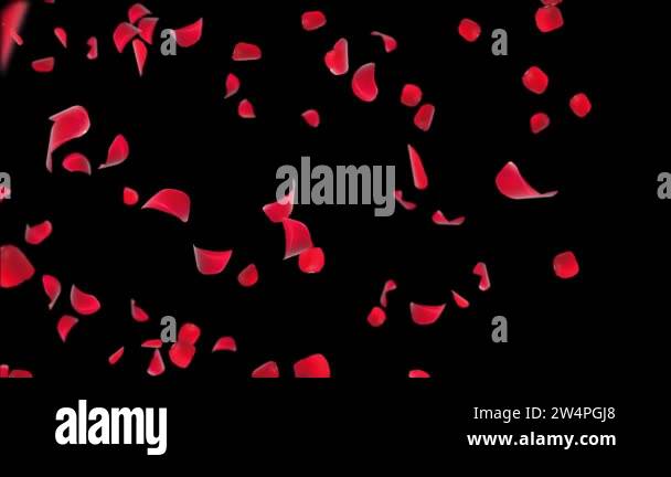 Valentine Loop background with Falling Red Rose petals green Screen ...