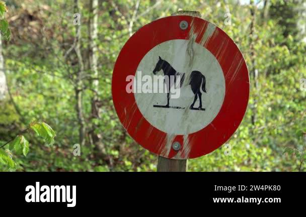 Ribbed Rider Sign Horse riders road sign Stock Videos & Footage - HD and 4K Video Clips ...