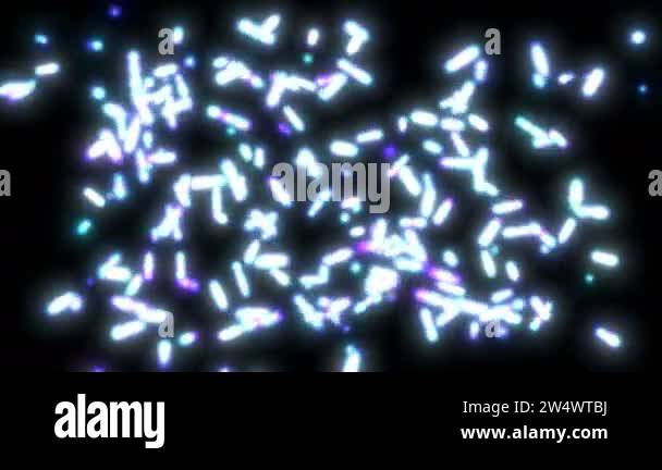 Reproduction of bacteria in 3d style Biology science background Cell ...