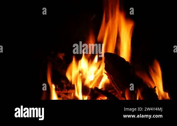 Video footage of a burning and sparking campfire at night with burning ...