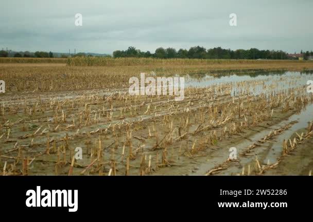 Field mud harvest Stock Videos & Footage - HD and 4K Video Clips - Alamy