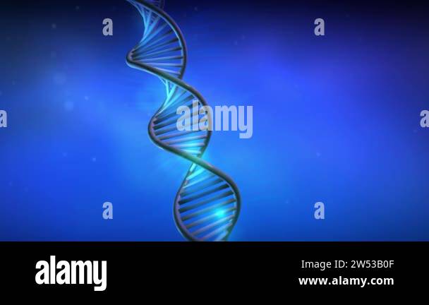 Helix Video 3d dna helix and chromosomes Stock Videos & Footage - HD and 4K Video ...