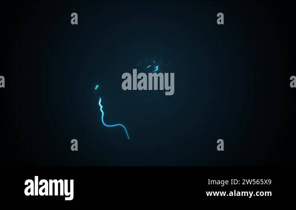 Brain Power Cyber Technology Background Animation/ 4k animation of a ...