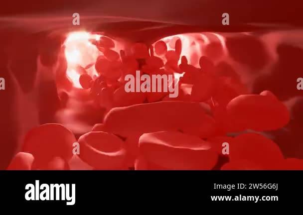 Red blood cells in an artery, flow inside body, medical human health ...