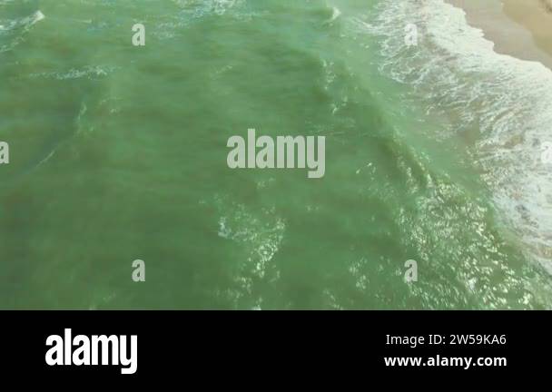Sea water bacteria Stock Videos & Footage - HD and 4K Video Clips - Alamy