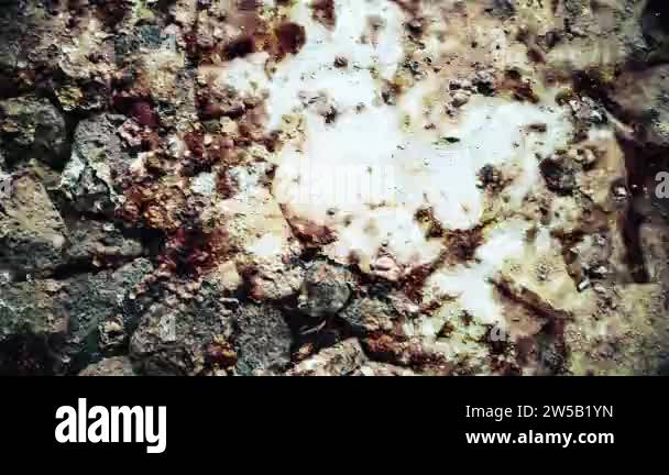 Hd rock texture Stock Videos & Footage - HD and 4K Video Clips - Alamy