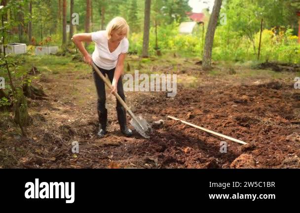 Senior gardener woman falls hurts back pain radiculitis digging at ...