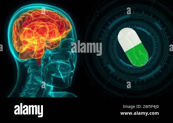modern medical 4K 60 fps 3D animation - x ray human head image with ...