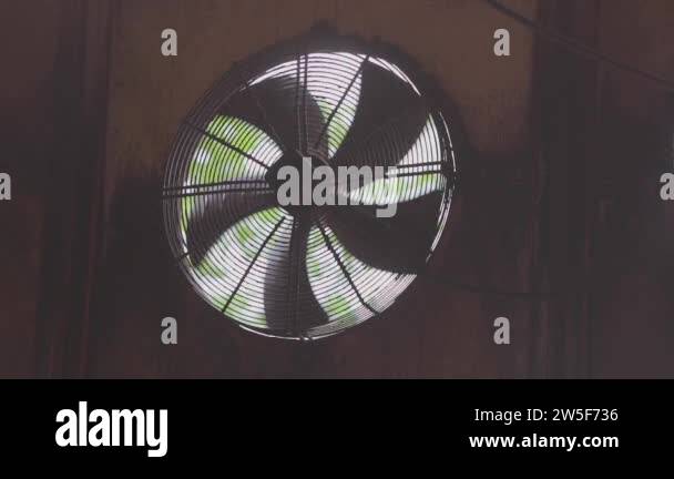 Large circulation Stock Videos & Footage - HD and 4K Video Clips - Alamy