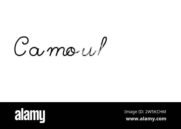 Camouflage Decorative Handwriting Animation in Six Cursive and Gothic ...
