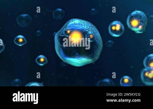 Cell, Human cel, Organic, System, Life, Macro, Infection, Medicine ...