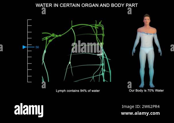 Highest proportion Stock Videos & Footage - HD and 4K Video Clips - Alamy