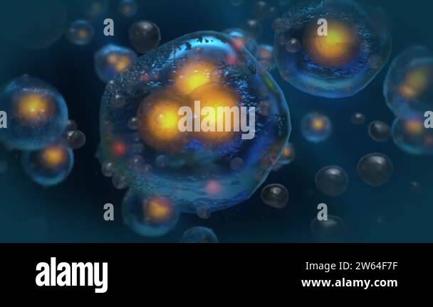 Cell therapy, Cell, Human cell,Organic, System, Life, Macro, Infection ...