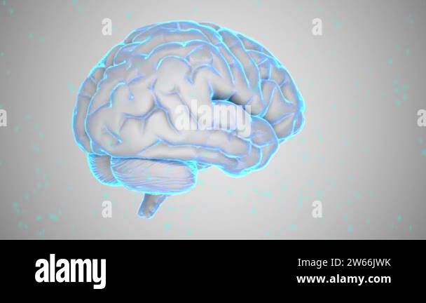 4k 30fps seamless loop AI Brain Concept. Artificial Intelligence ...