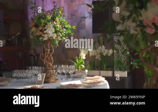 Wedding guest tree Stock Videos & Footage - HD and 4K Video Clips - Alamy