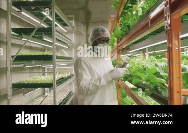 African ruler Stock Videos & Footage - HD and 4K Video Clips - Alamy